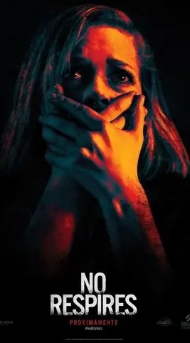 t3 - copia (10).webp